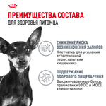 Royal Canin Mini Digestive Care Мини Дайджестив кэа Корм сухой для взрослых собак мелких пород с чувствительным пищеварением 3кг