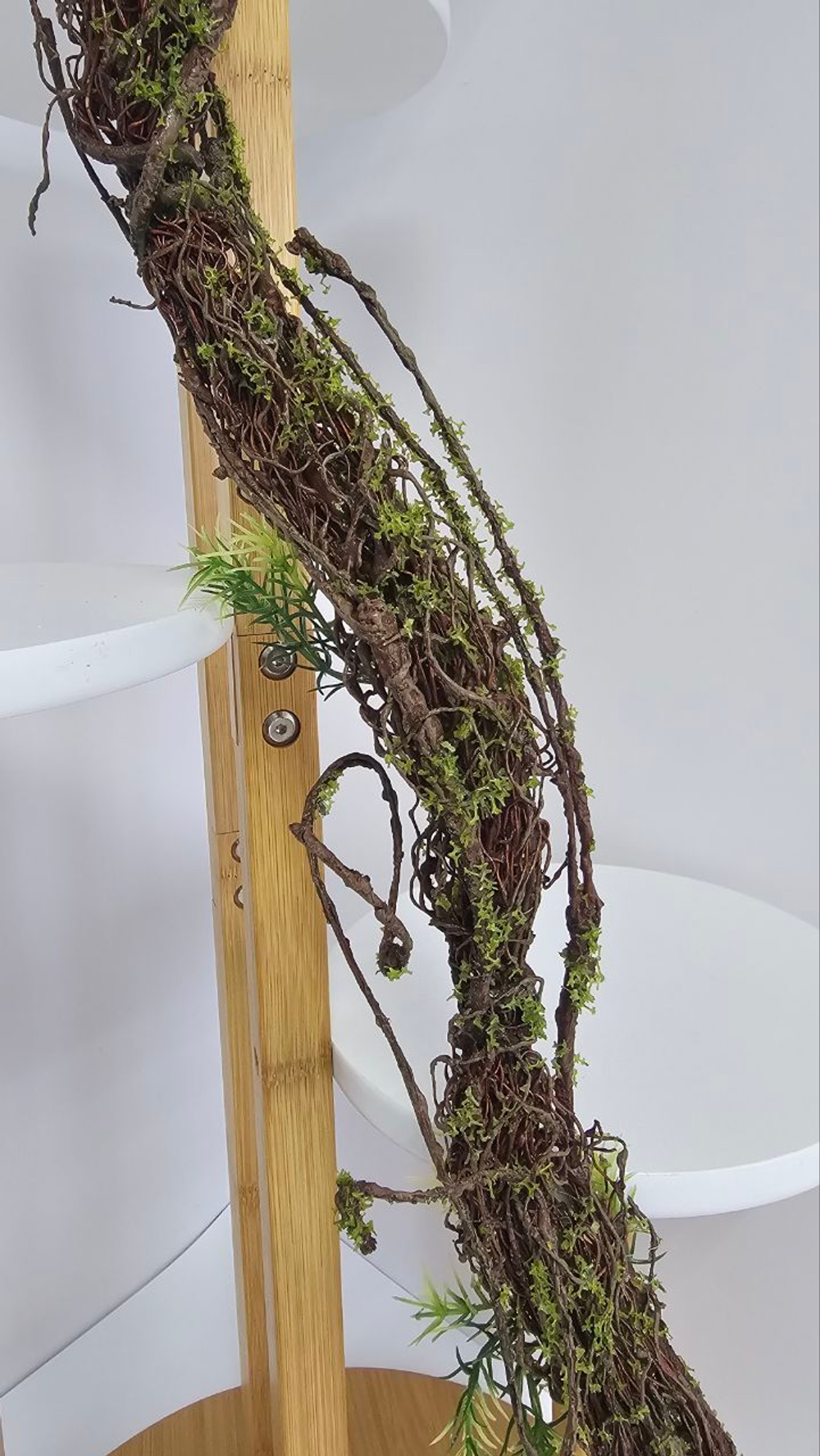 Коряга гибкая / Арт 9076