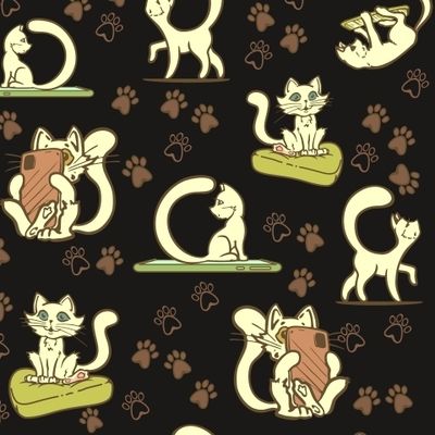 Игривые белые кошки со смартфонами на черном фоне