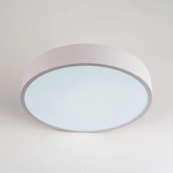 Потолочный светильник LED4U L2020-300 WH LED4U