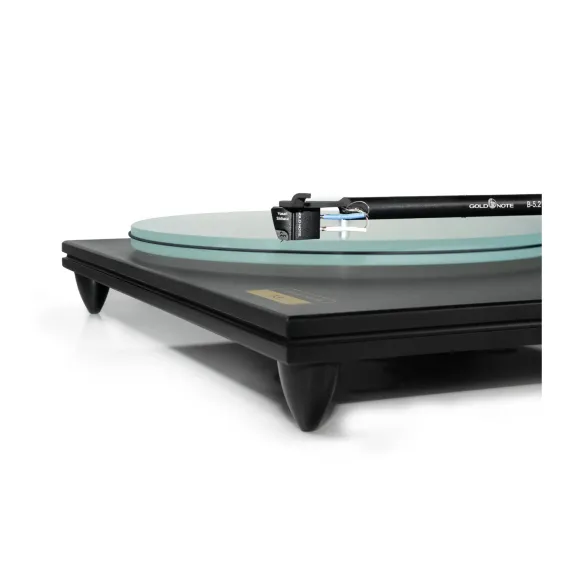 Gold Note T-5 Black