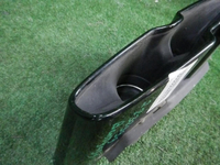 DSCN0713.JPG
