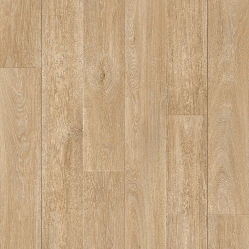 Линолеум полукоммерческий Profi Master Havanna Oak 10, 3х37м (рулон)