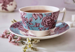 Spode Чайная чашка Kingsley 200 мл с блюдцем KINTE1138