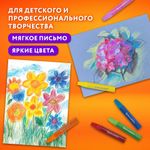 Пастель масляная восковые мелки утолщенные 48 цвета с точилкой, держателем и стеком, BRAUBERG PREMIUM, 272714