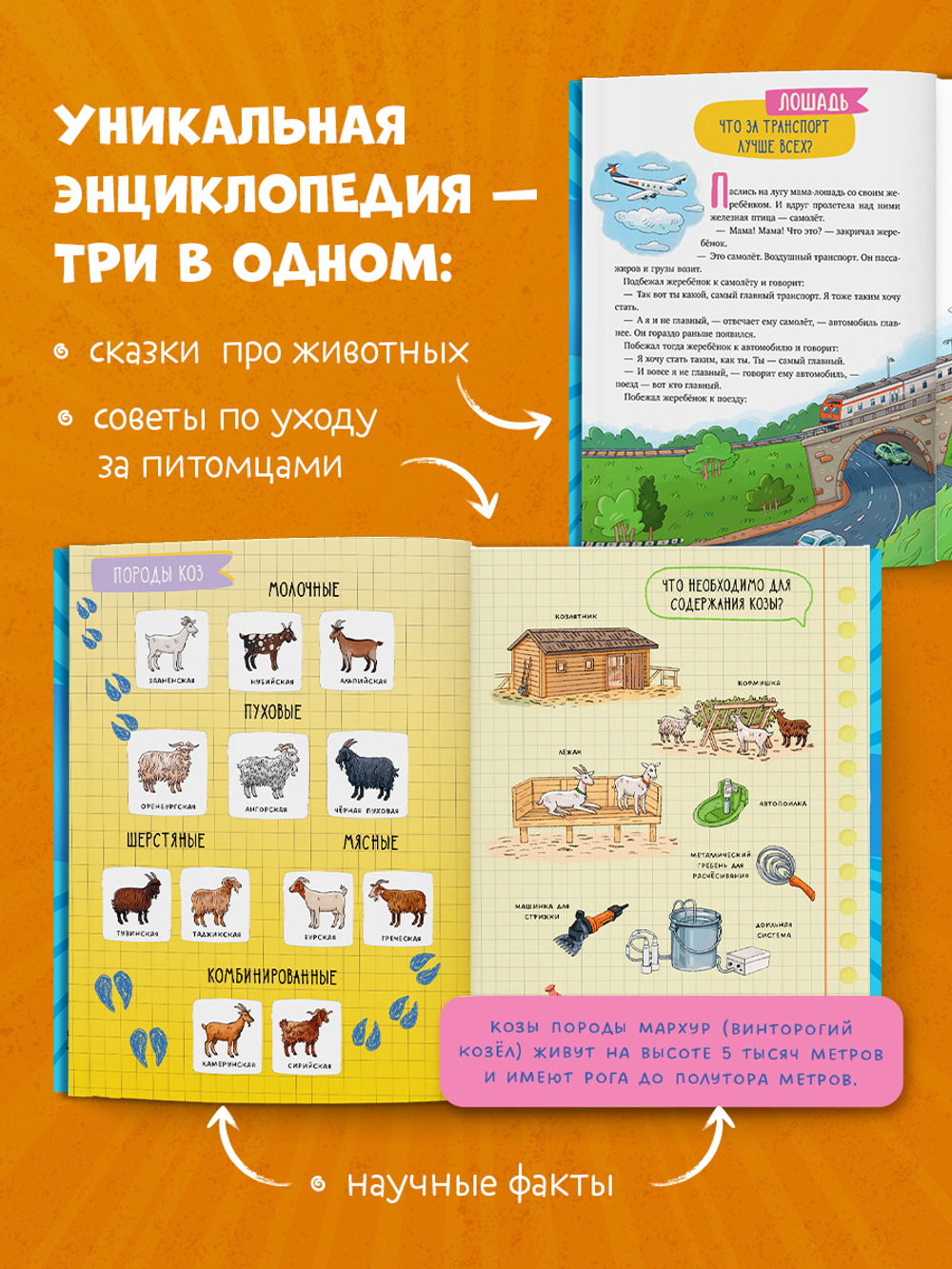 Подарок для почемучки. Домашние животные
