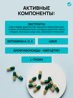 Неовирол(Neovirol), 60 капсул Комплекс усиленного противовирусного и антибактериального действия. Профилактика, комплексная терапия, выздоровление