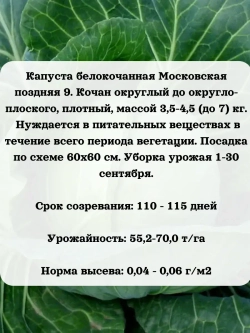 Семена капуста белокочанная Московская поздняя 9 5 гр