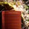 Bang &amp; Olufsen Beosound Explore Bonfire Orange