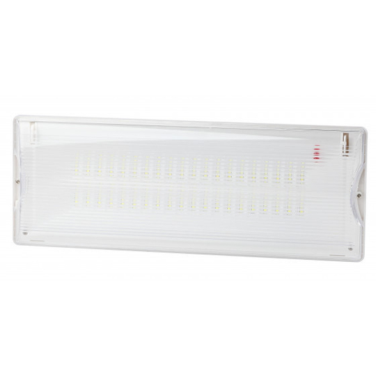 Аварийный светильник DPA-301-1-65 постоянный 40LED 3ч IP65 NiCD ЭРА Б0051843