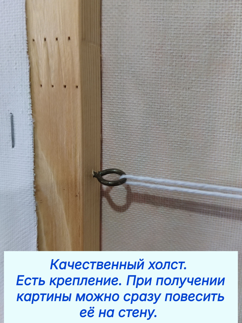 Картина на Холсте. Масло, авторская работа, написана от руки. "Не принт","Не печать". Ручная работа. Размер 40*50см.