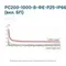 РС200-1000-В-ФЕ-Р25-IP66 (вкл. БП)