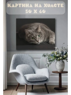 Картина на стену 40 X 50 Кот