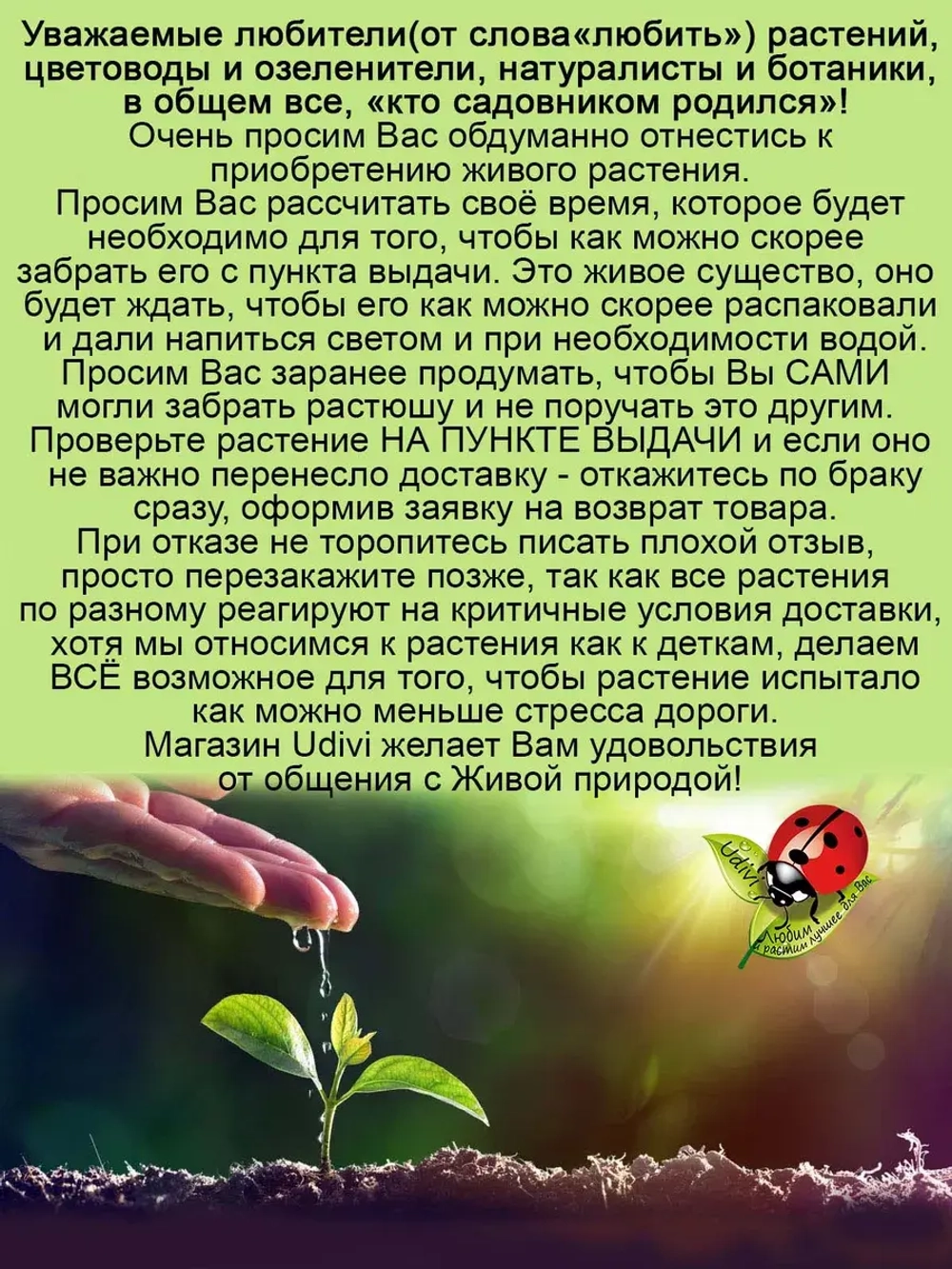 Княженика Астра княжья ягода
