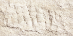 Devine Stone
