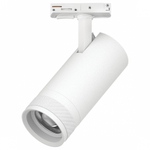 Светильник на штанге Lightstar Canno Pro C4206SS
