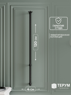 Полотенцесушитель Винтаж 1 120х4 Черная кожа
