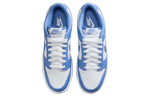 Nike Dunk Low Polar Blue
