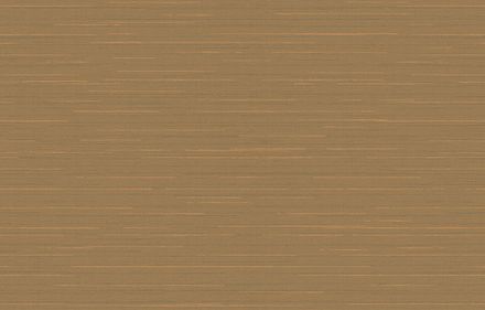 Amazonia / Амазония