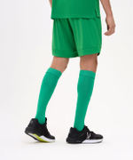 Шорты игровые DIVISION PerFormDRY Union Shorts, зеленый