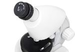 Микроскоп Levenhuk Discovery Micro с книгой, 77952