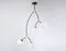 Потолочная люстра Traditional TR2575 Ambrella