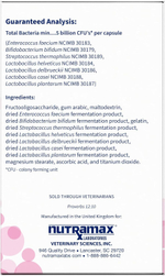 Nutramax Proviable набор паста + капсулы