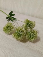 Дикий лук