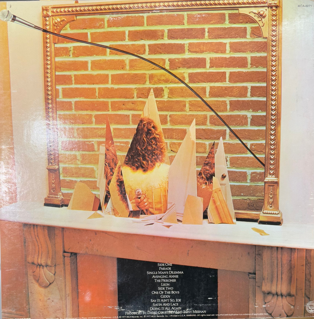 Виниловая пластинка Roger Daltrey - One Of The Boys LP