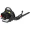 Воздуходувка "ELITECH" HD BP 5319R 204653