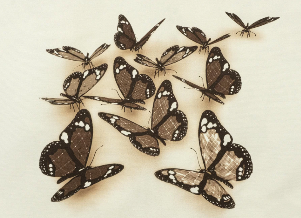 BUTTERFLIES 3D-2 BROWN мебельная ткань велюр, рисунок бабочки, ширина 1,4 м