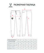 Брюки ветрозащитные JOGEL NATIONAL PerFormPROOF Rain Pants, темно-синий