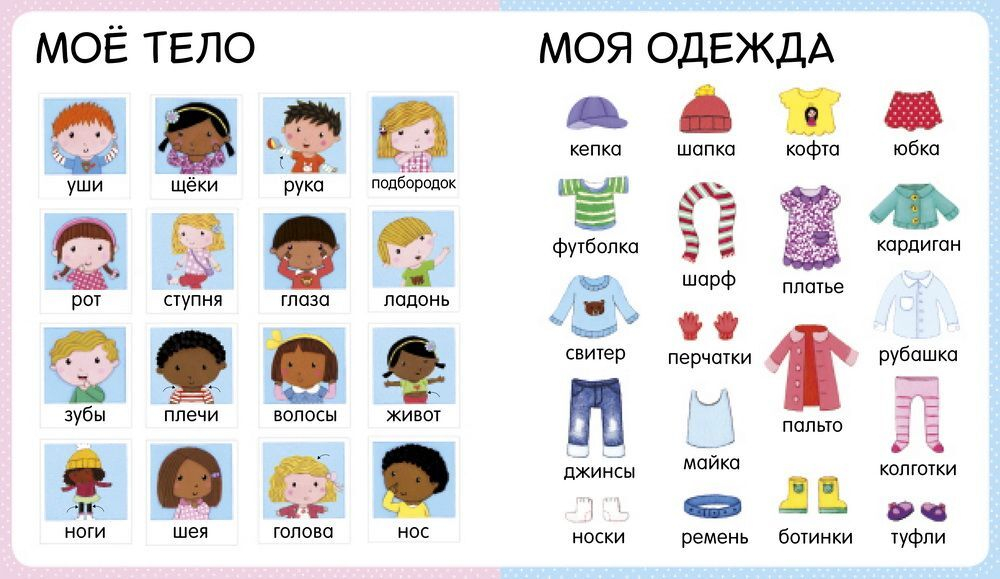 Мои первые слова. Первая книга малыша
