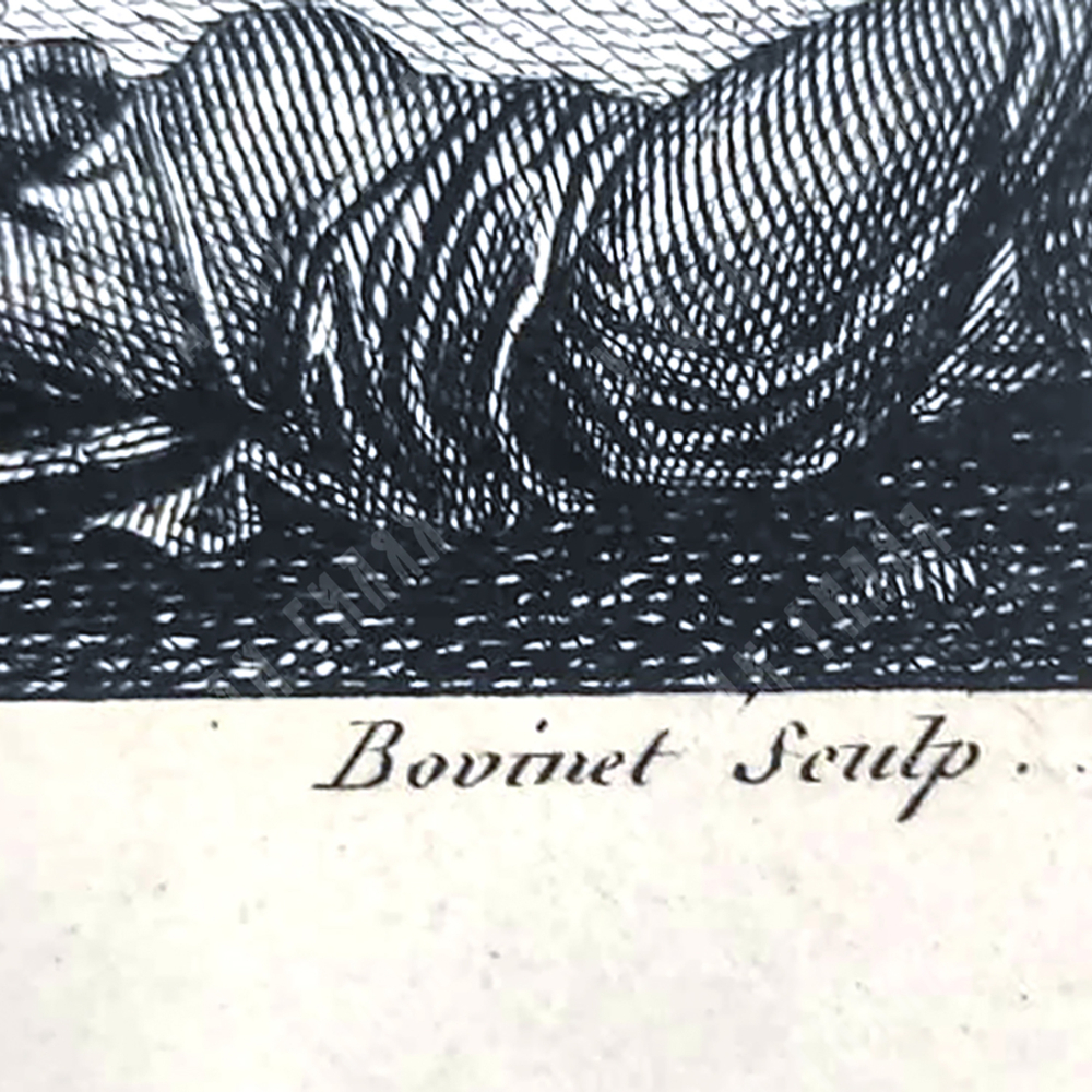 Наполеон.Битва при Гелиополисе. Гравюра. Париж. 1834