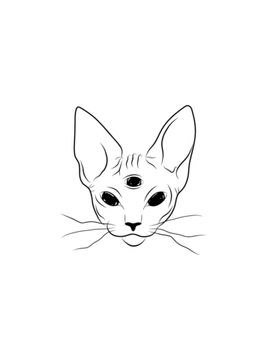 cat with third eye
