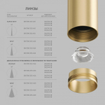 Светильник на штанге Denkirs SHINE SPOT DK5742-SB