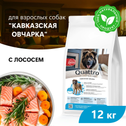 Корм сухой для взрослых собак породы Кавказская овчарка, премиум полнорационный комплекс, с лососем, 12 кг, QUATTRO