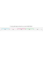 Плетеный шнур Eight Braid 0,33 мм 150 27,2 нитей 8