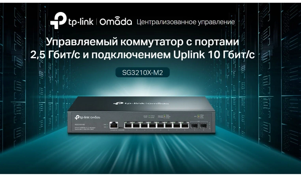 Коммутатор TP-Link Omada (SG3210X-M2)
