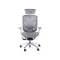 GTChair Dvary X grey