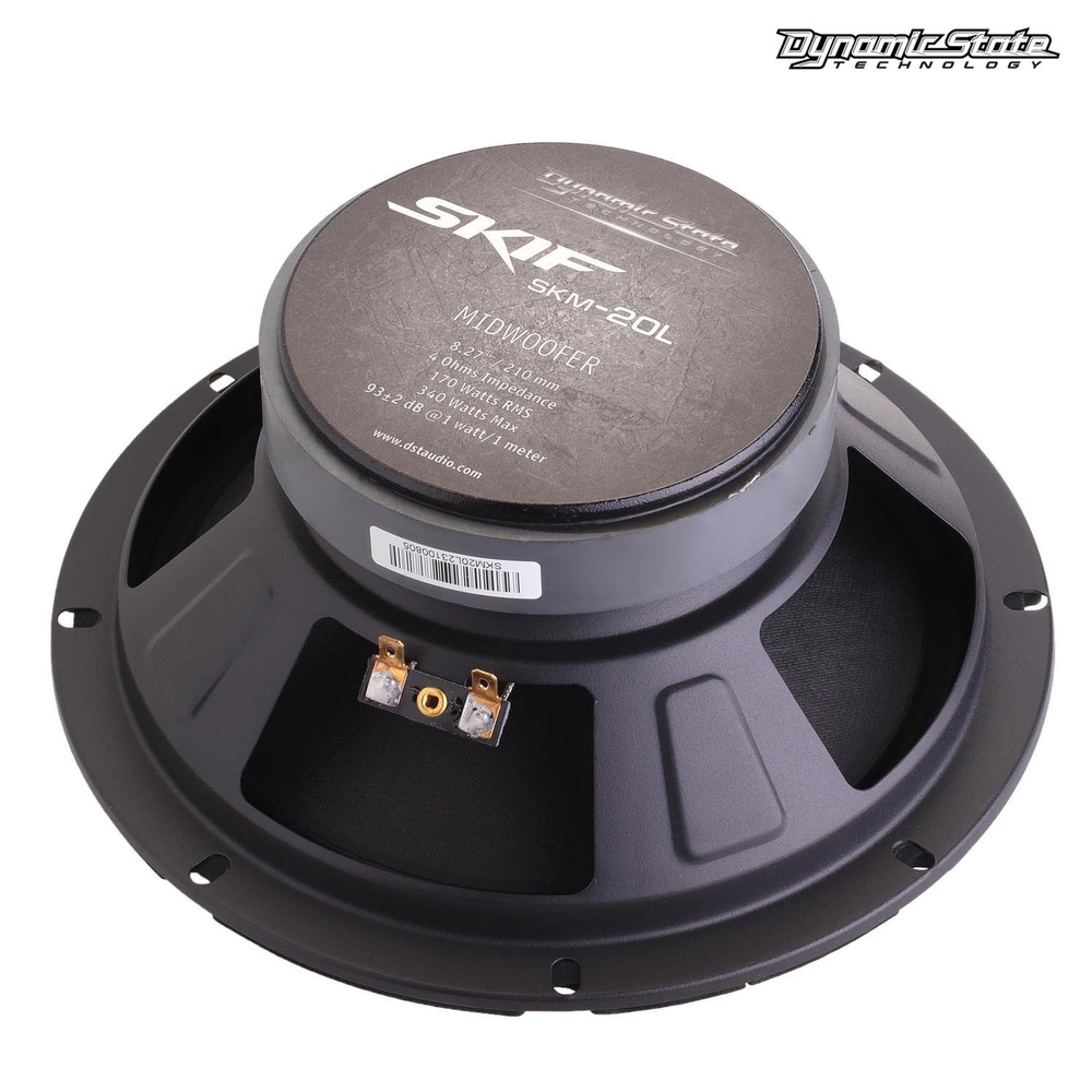 DYNAMIC STATE SKIF SKM-20L, ПАРА