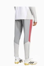Штаны adidas Liverpool FC 26/27 Training - серый