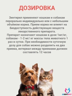 Зинтирил 2 мг от аллергии для кошек и собак, 10 таблеток