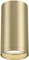 Точечный светильник FOCUS S C052CL-01MG Maytoni