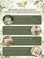 Жасмин цвет с бутонами и листиками для чая и здоровья