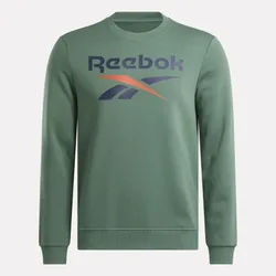 Толстовка мужская REEBOK IDENTITY BIG LOGO FLEECE CREW