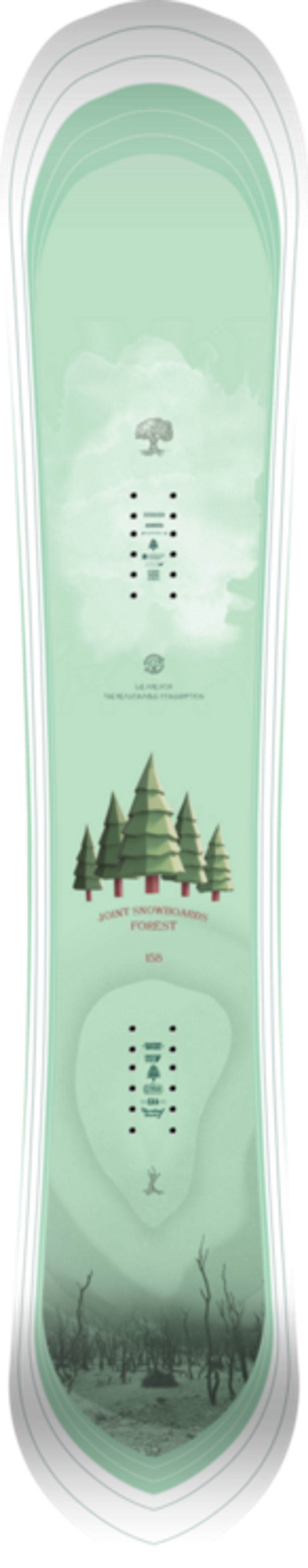 Сноуборд JOINT FOREST