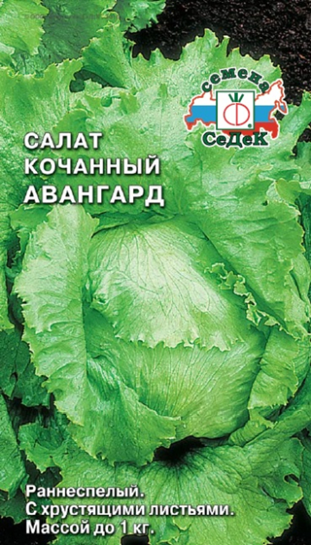 Салат Авангард кочанный  0,5гр Седек