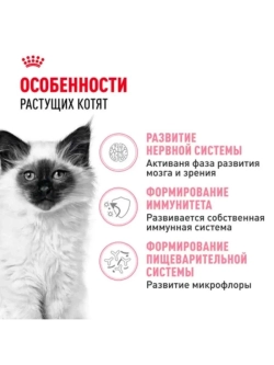 Kitten Корм для котят до 12 месяцев 1,2кг