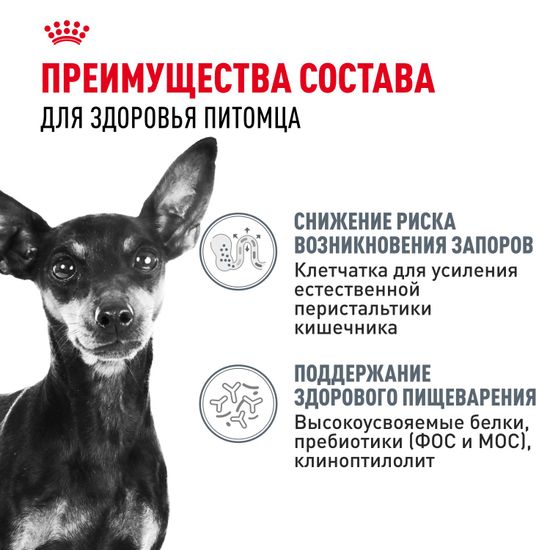 Royal Canin Mini Digestive Care для собак мелких пород с чувствительной пищеварительной системой